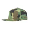 Camo1
