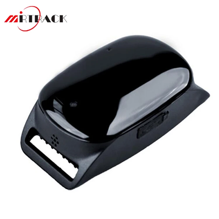 trackable dog collar