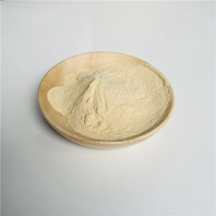 Factory Wholesale Pure Sea Cucumber Extract Sea Cucumber Collagen Peptides Sea Cucumber Peptide Powder