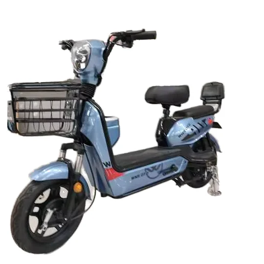 Hot Selling Electric Bike, City Electric Bike, Eco-friendly Electric Bike, 2 seater