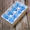 ZL-YSH-08-6blue