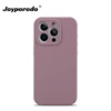 Blackcurrant color