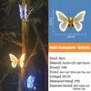 Transparent Warm Light-Static-20cm-Low Voltage 12V