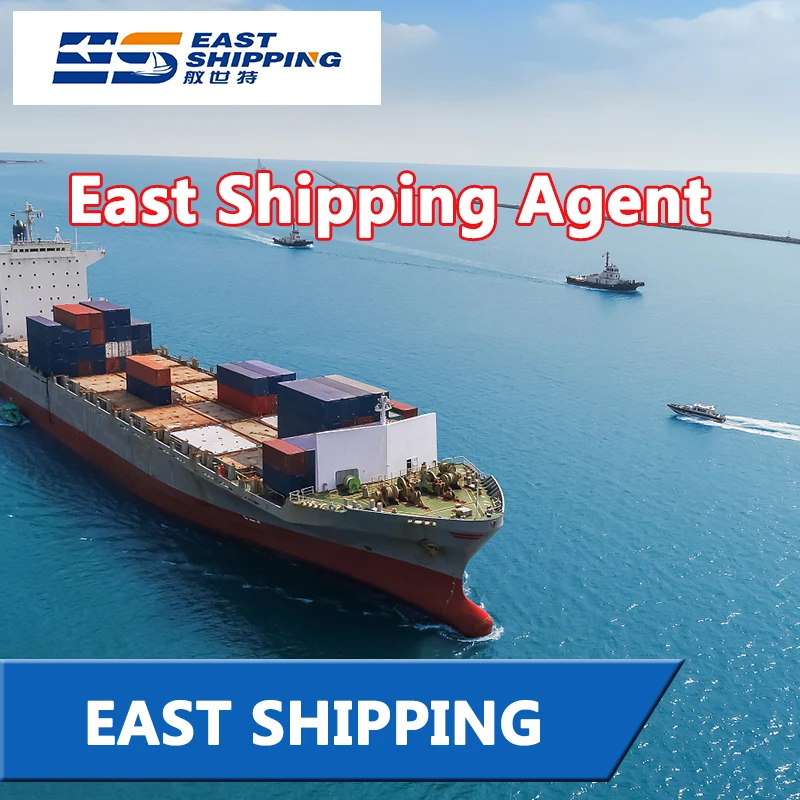 Transitario Agente de Carga Promotor Colombia South America Shipping Logistic Agent Freight Forwarder DDP Door To Door