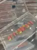 L1
