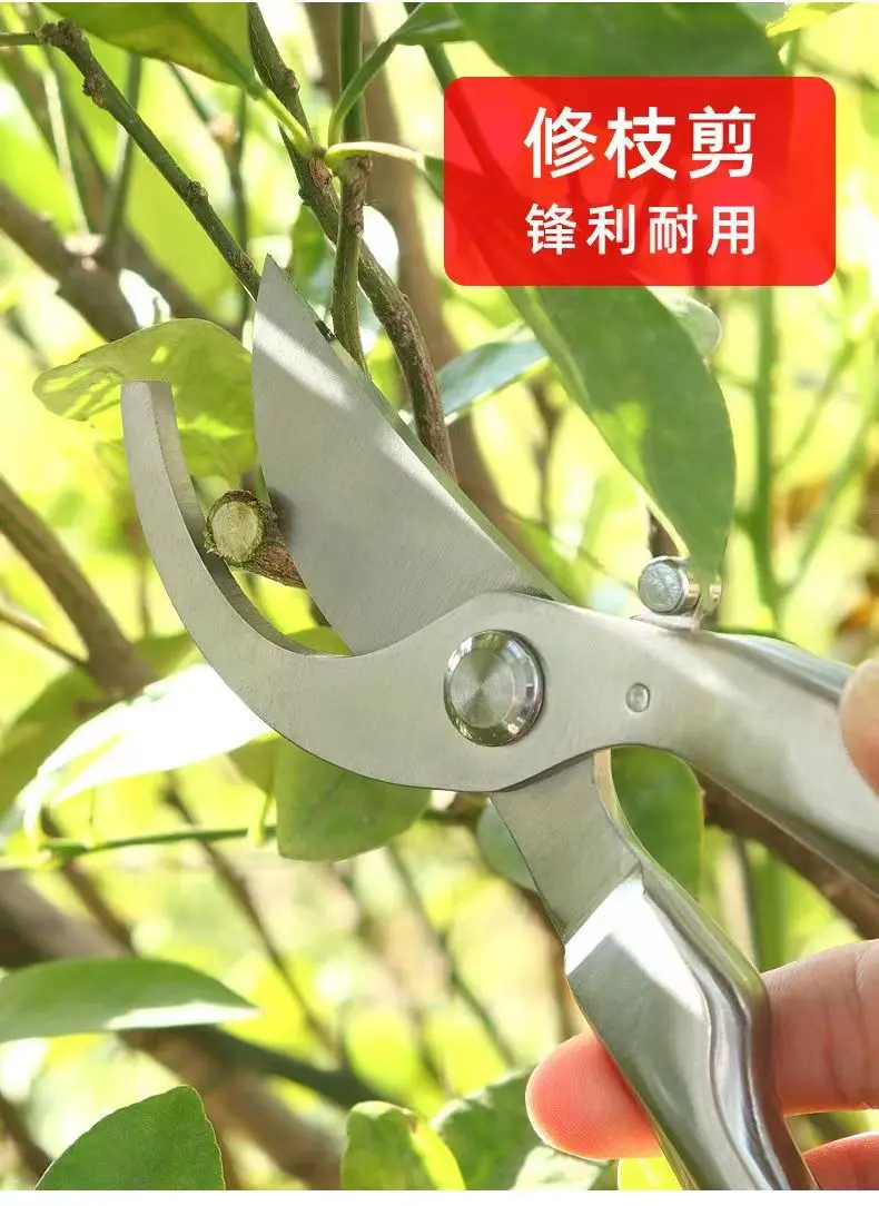 Fruit Tree Pruning Knife,Garden Pruning Branch Specialized Scissors