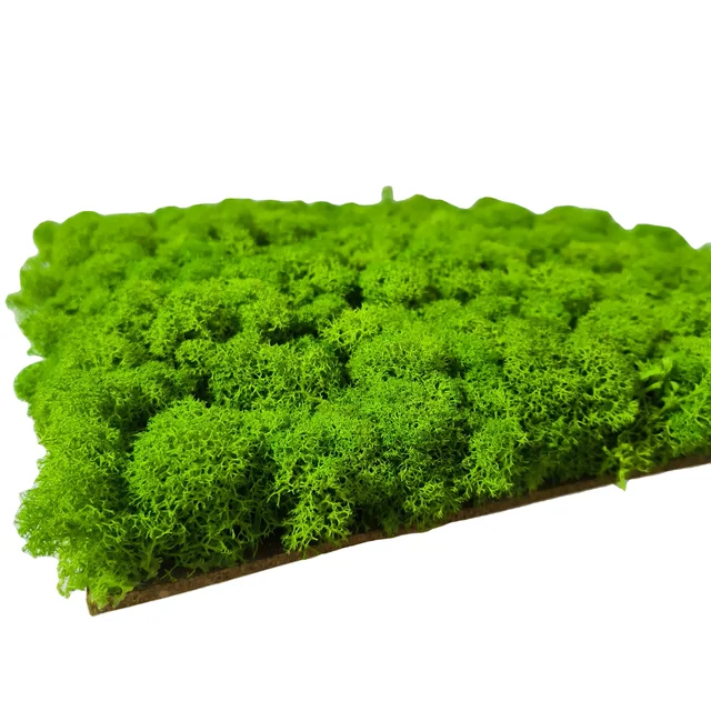 factory customize grade AA quality real natural permanent stabilized moss wall preserved reindeer moss wall panel for decor
