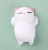 No. 25 Pink-Eared Cat