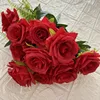 Rojo brillante