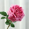 Rosso porpora