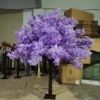 Pourpre