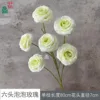 Six-headed Bubble Rose XWJ Light Green