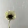 Blanco grisáceo