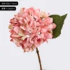 Light pink (small branches)