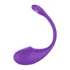 Viola