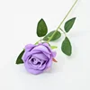 Pourpre