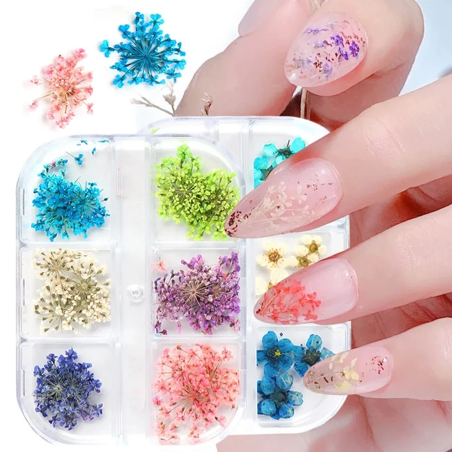 24 Pcs 3D Dried Flowers for Nails, Dried Flowers for Resin Nail Craft Art  Accessories, Pressed Dried Flower Nail Art Decoration Tips DIY Manicure