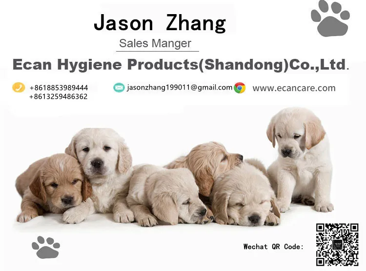 name card