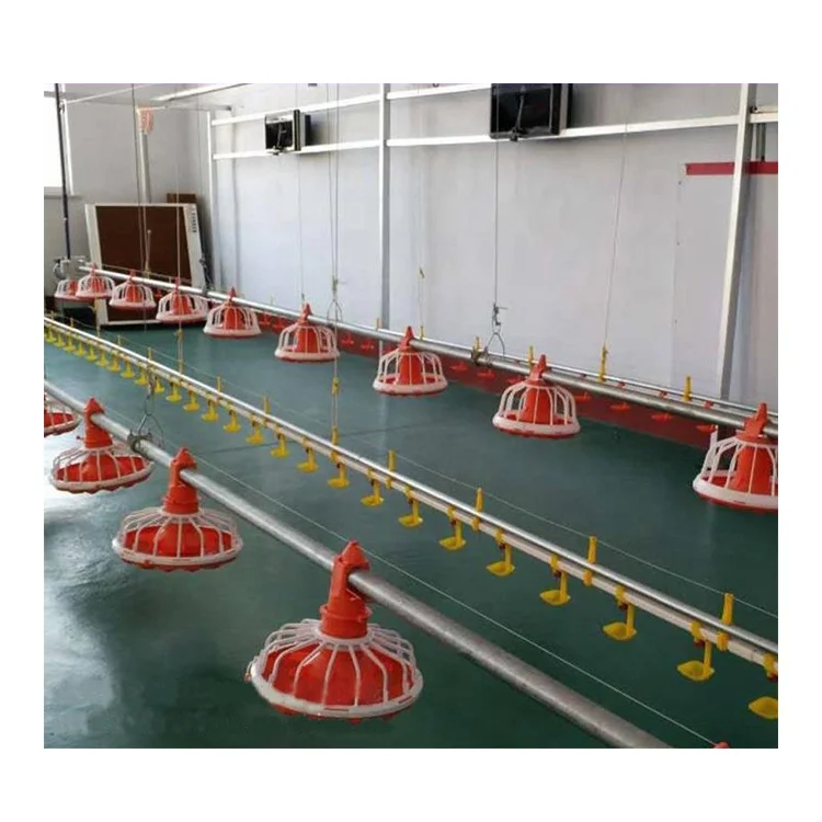 Poultry-Feed-Production-Line Feeding Line for Poultry Chicken Feeder Machine