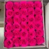 Rosa chiaro tendente al rosso