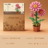gift box-Daisy