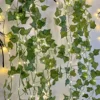 Green creeper
