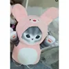 Rabbit transforms into a plush cat (gray cat)