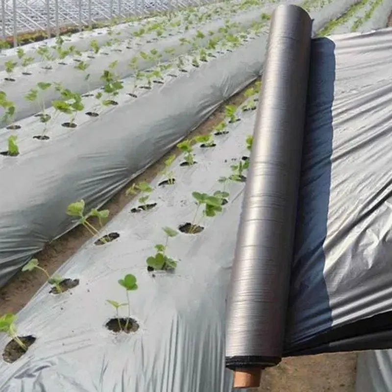 Ground Cover Cloth Weed Barrier Mulching Paper Film Agricultural Plastic Products Black Silver Mulch Film 30 Micron Vegetable