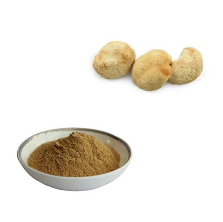 high quality natural lion mane/hericium erinaceus mushroom