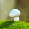 No 7-dream mushroom