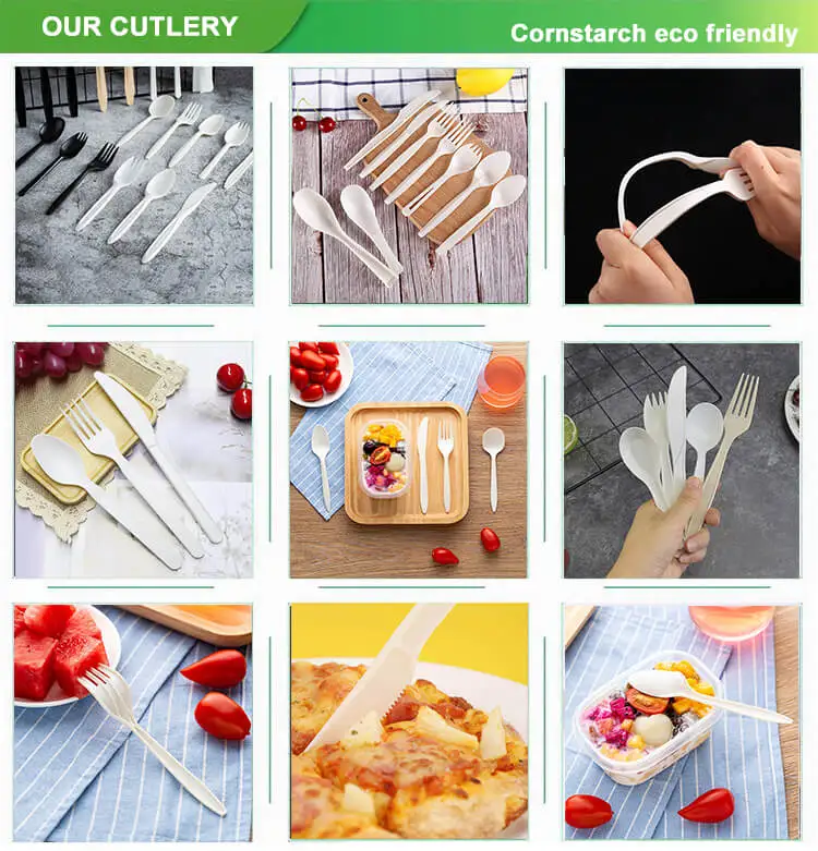 Ensembles jetables de fourchette de cuillère bon marché 100 % de couverts biodégradables naturels