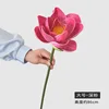 Large Deep Pink Lotus