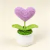 Purple love small pot plant