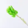 Vert clair