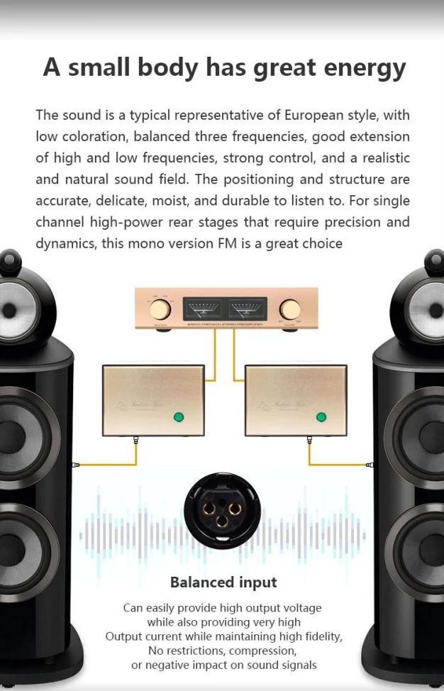 BRZHIFI direct engraving FM111 line Mono high power amplifier hifi amplifier house hold rear stage manufacture