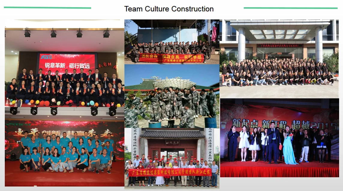 Team culture construction