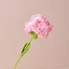 Gradient Pink