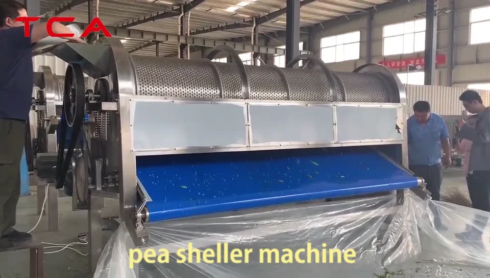 Industrial Frozen Green Peas Processing Plant Buy Peas Peeling