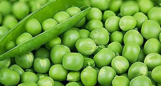 Preço Atacadista Bom IQF Ervilhas Verdes Ervilhas Verdes Congeladas Vegetais Congelados