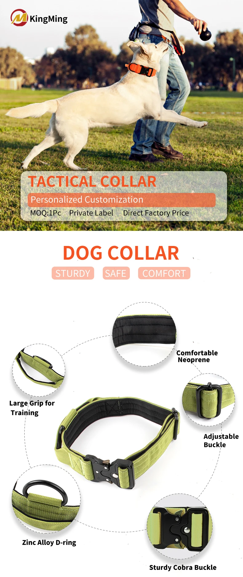 High Quality Heavy Duty Metal Buckle Pet Collar Large Dogs Collar And Leash Set Tactical Dog