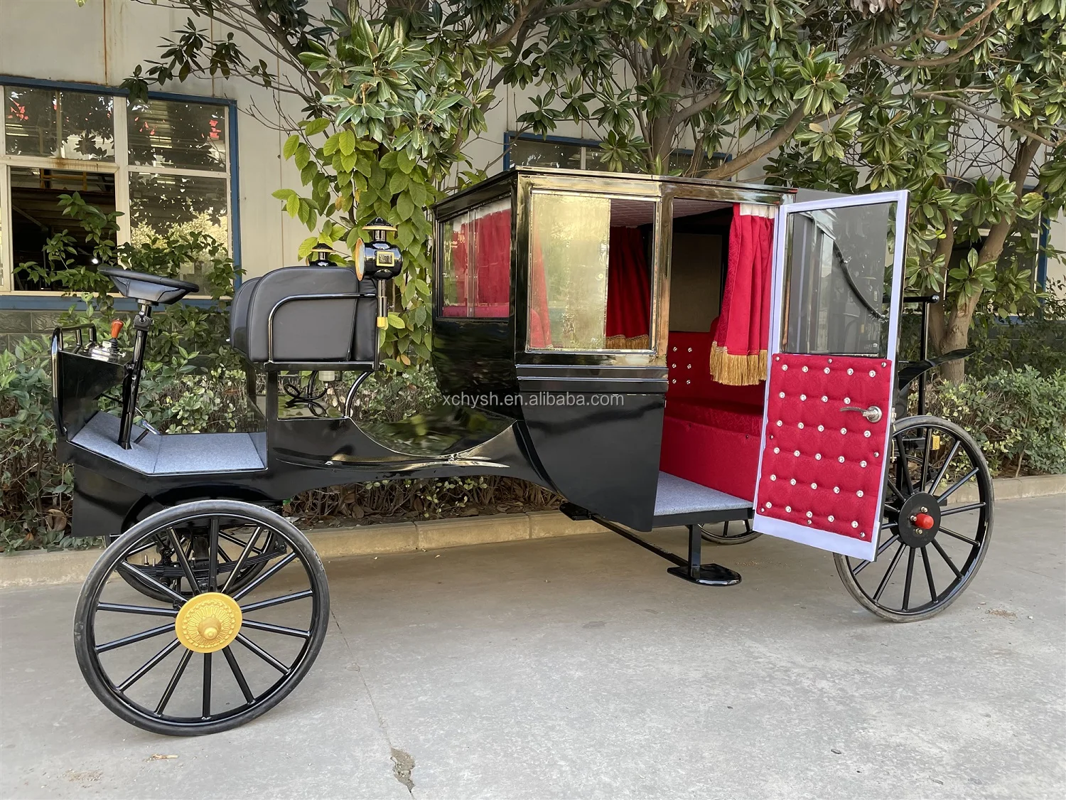 American's Favorite Electric Buggy/black Sightseeing Horse Carriage For