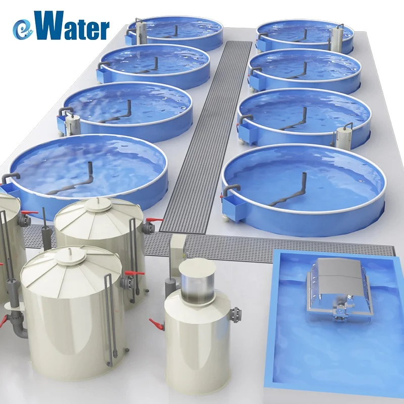 eWater RAS i system recyrkulacji akwakultury
