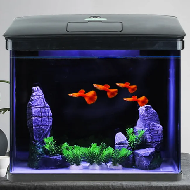 used fish tanks
