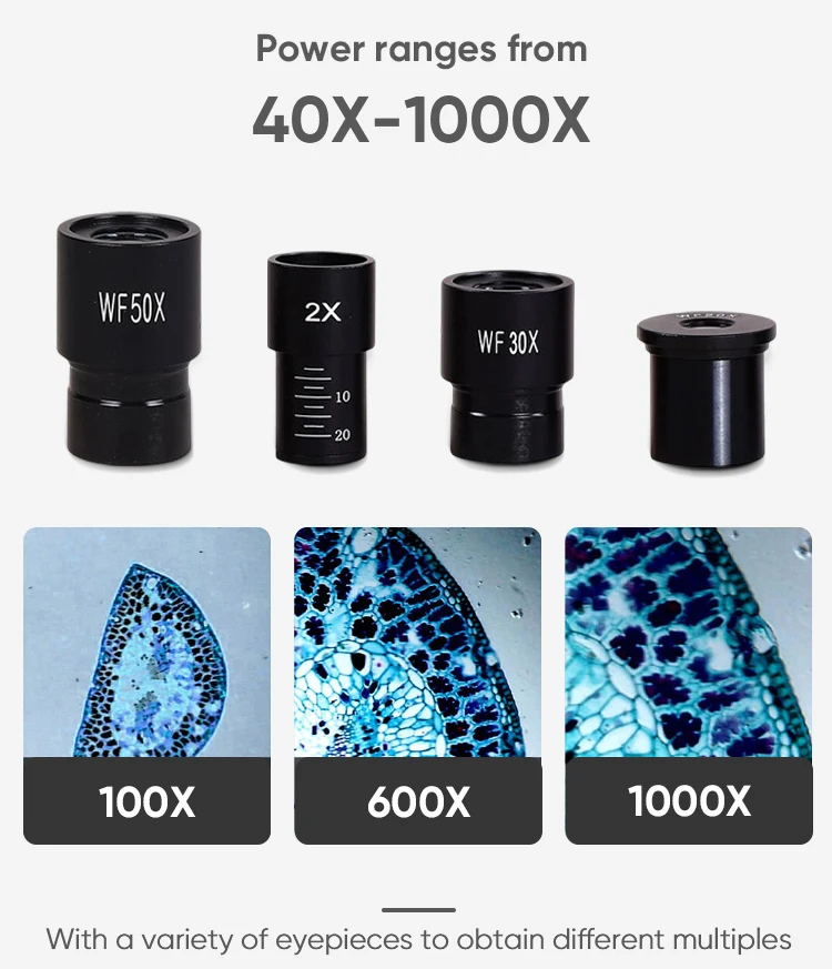 Microscope Optic Instrument Customized Laboratory Microscope Binocular