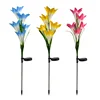 5 lilies