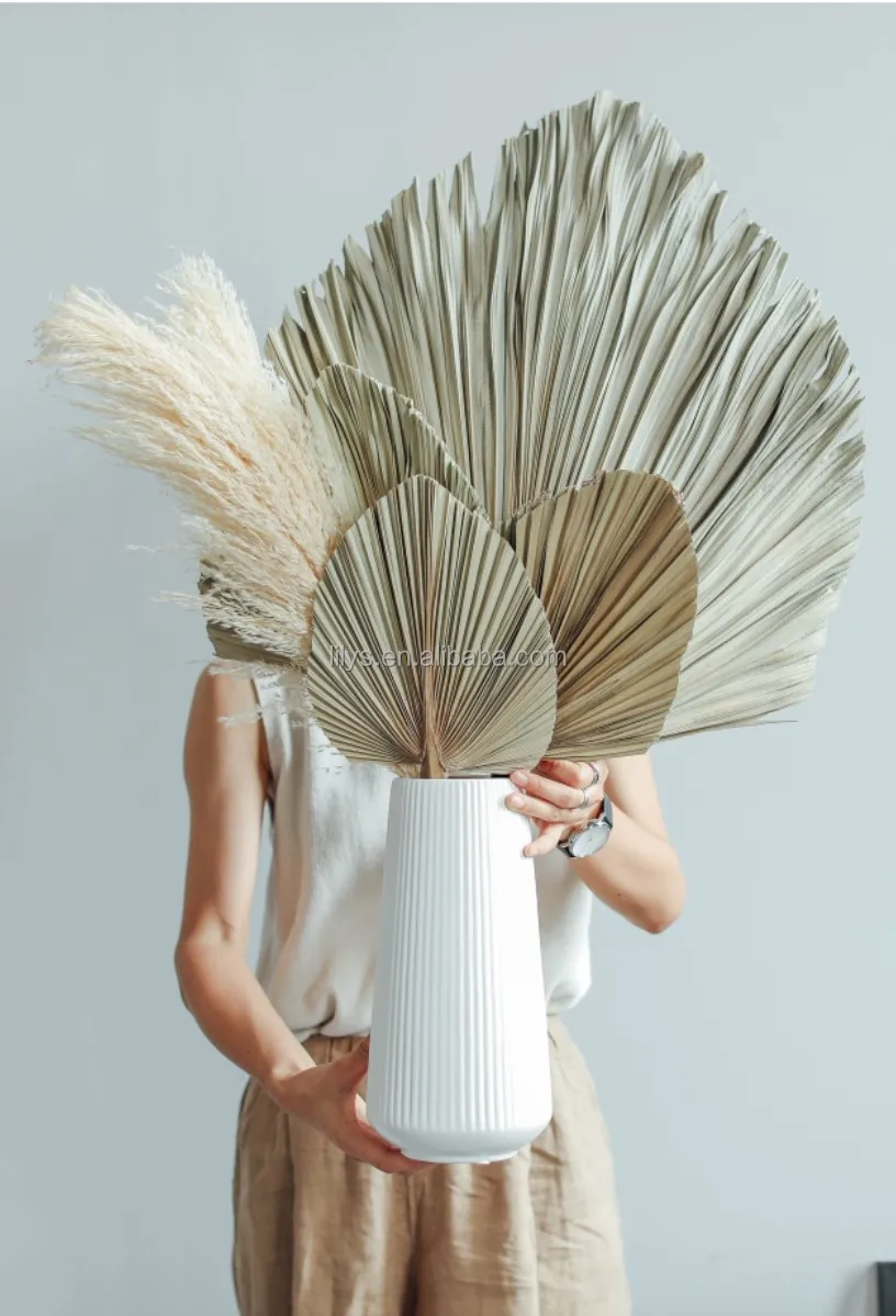 热销亚马逊干叶用于婚礼装饰棕榈叶用于家庭酒店装饰 - buy outdoor