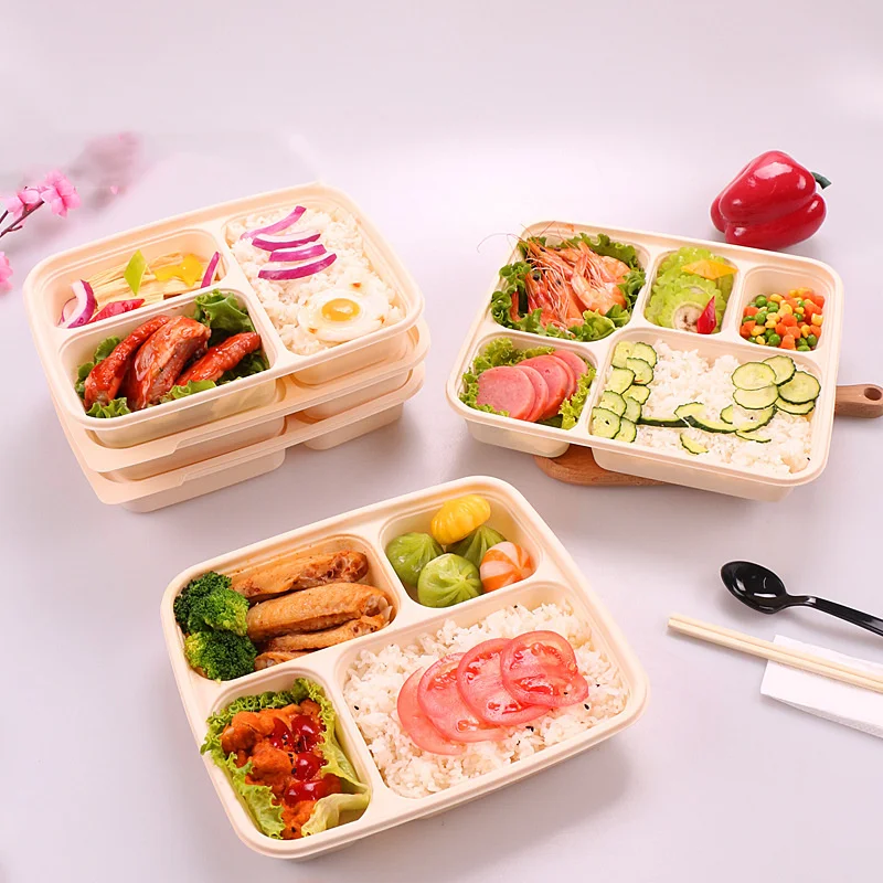 6 Compartment Disposable Bento Box Customized Pp Plastic 500Ml