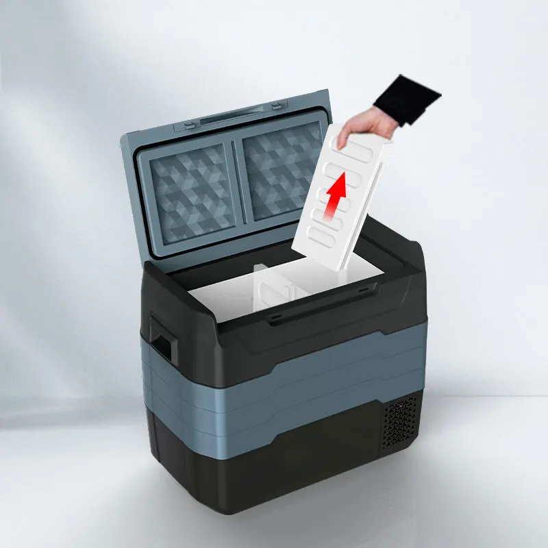 WAYCOOL TE55 50L 12V/24V AC100 ~ 240V индивидуальный автомобильный холодильник для автомобильного аккумулятора с компрессором кемпинга и автомобилей