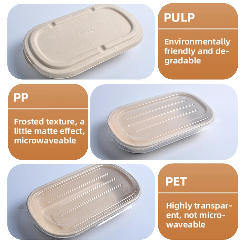 SenAng Disposable Biodegradable Sugarcane Bagasse Pulp Food Container Take Away Lunch Box with Lid