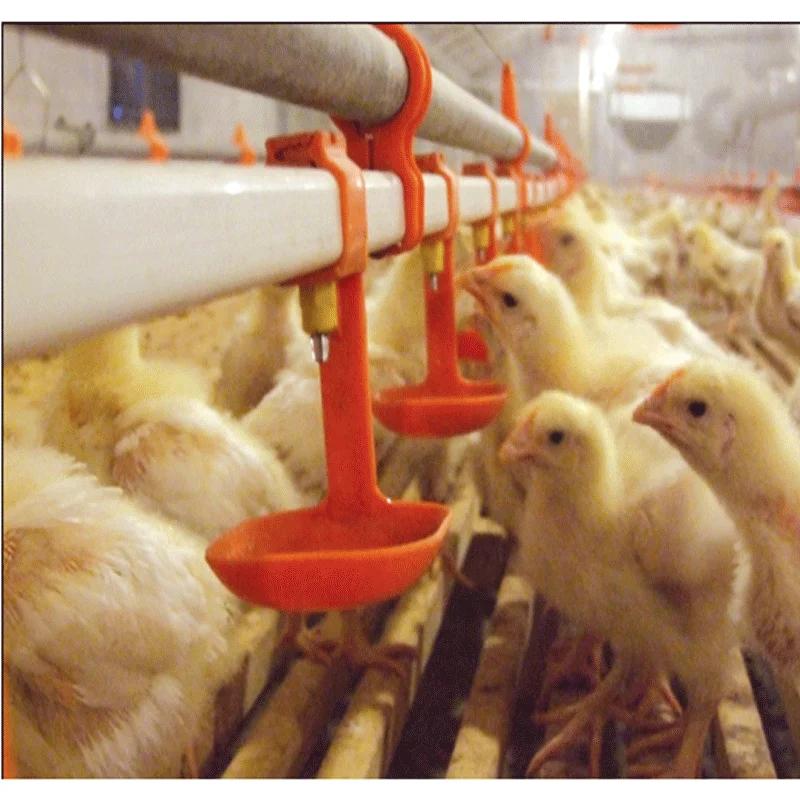 Automatic Poultry Nipple Drinker for Chicken Nipple Drinking System